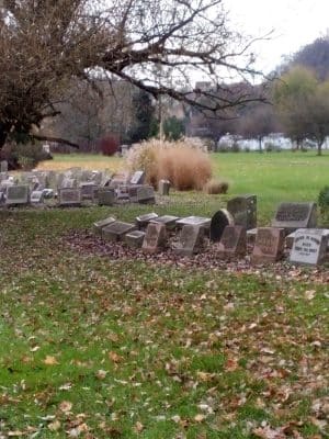 Sandyvale Memorial Gardens and Conservancy and Dog Park
