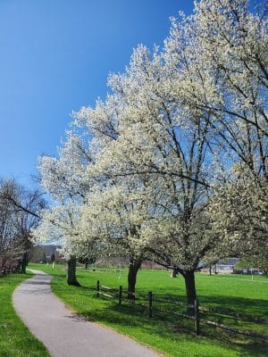 Sandyvale Memorial Gardens and Conservancy and Dog Park