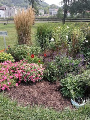 Sandyvale Memorial Gardens and Conservancy and Dog Park