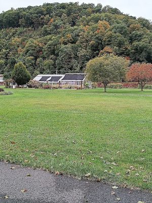 Sandyvale Memorial Gardens and Conservancy and Dog Park