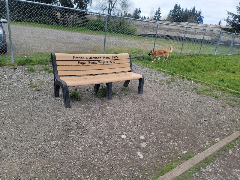 Ft Lewis Dog Park - Joint Base Lewis-McChord, WA