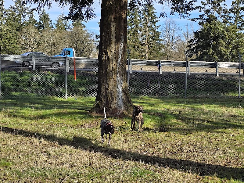 Ft Lewis Dog Park - Joint Base Lewis-McChord, WA