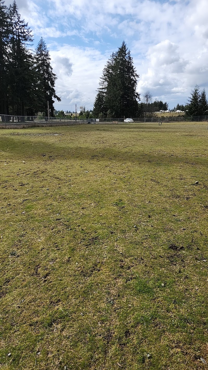 Ft Lewis Dog Park - Joint Base Lewis-McChord, WA