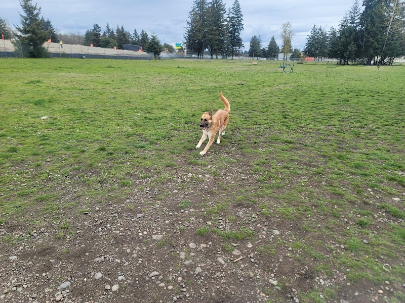 Ft Lewis Dog Park - Joint Base Lewis-McChord, WA