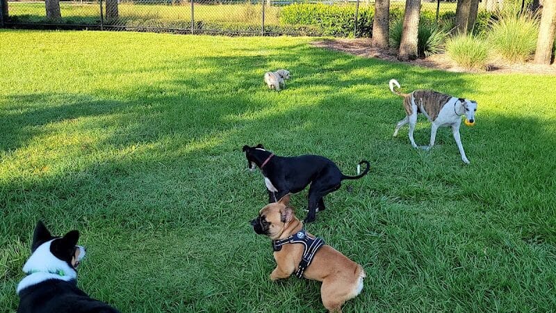 Cinquez Park - Jupiter, FL