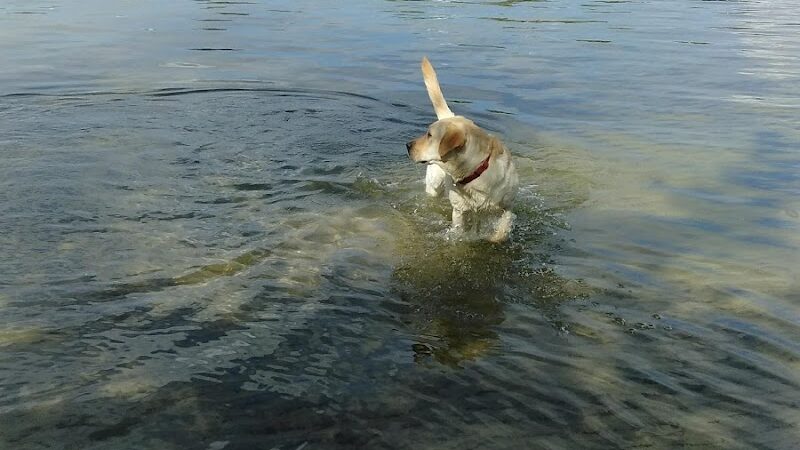 FIND dog park - Jupiter, FL
