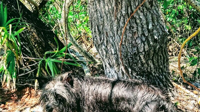 FIND dog park - Jupiter, FL