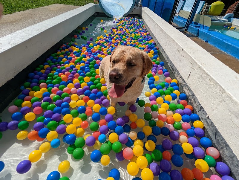 DogWorld Dog Park