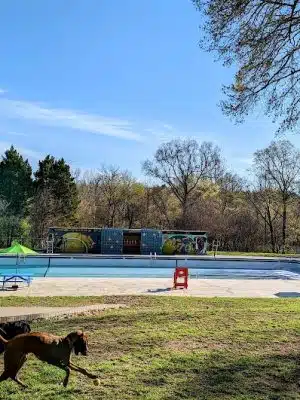DogWorld Dog Park