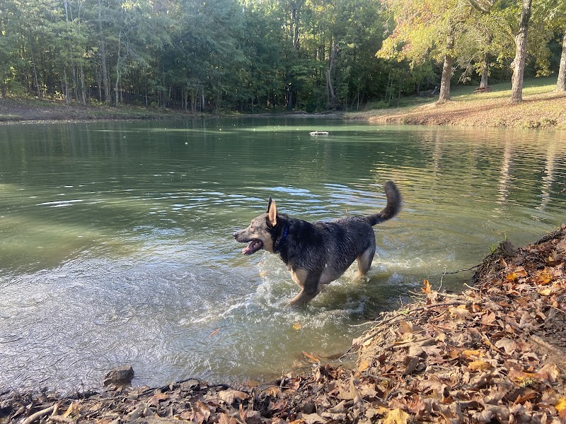 DogWorld Dog Park