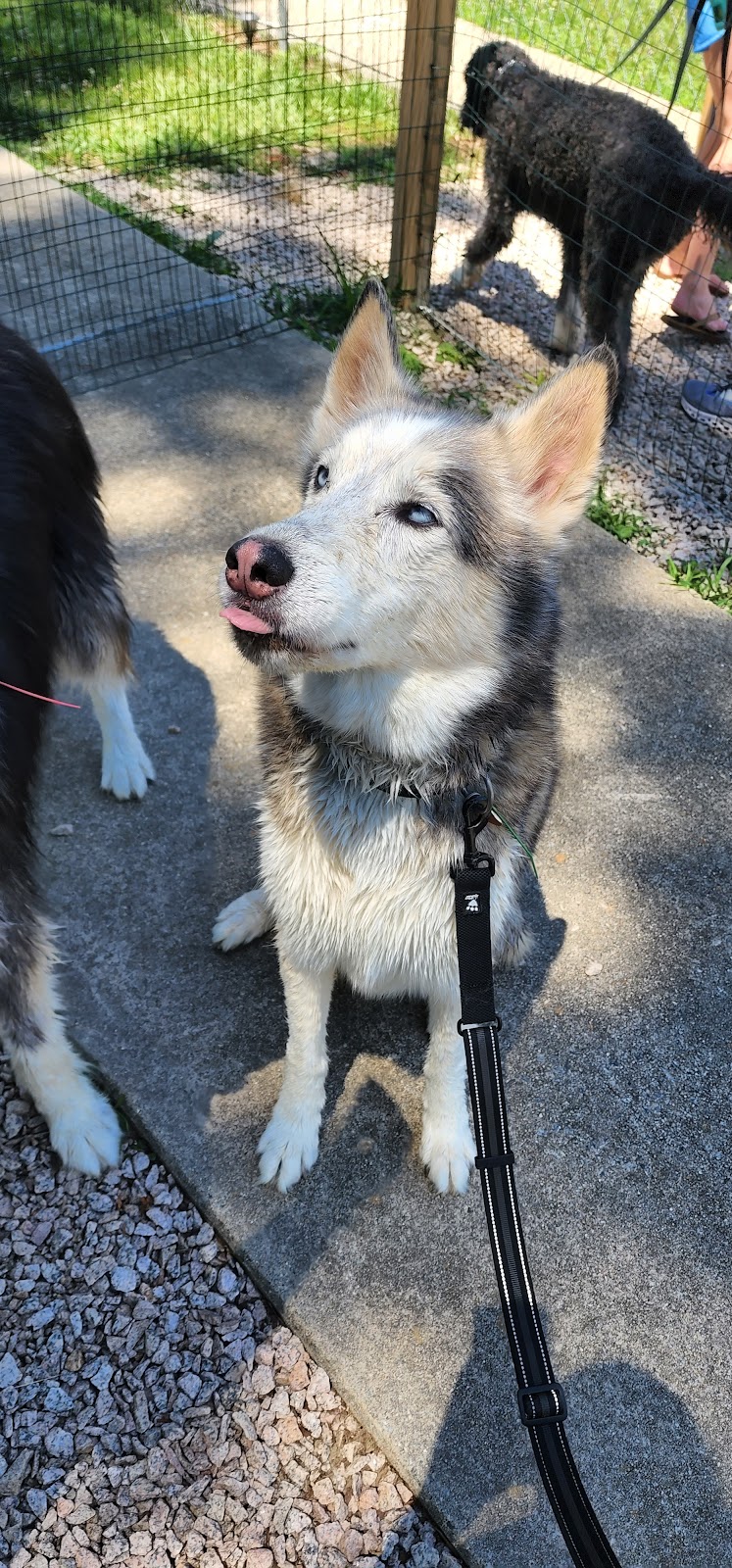 DogWorld Dog Park