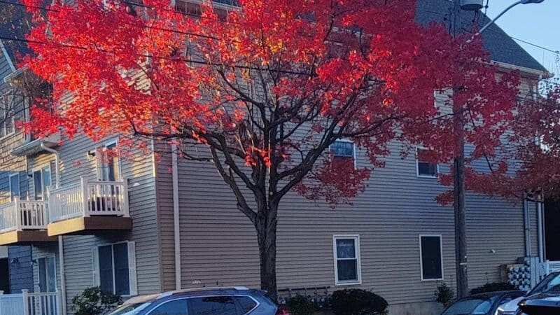 Arlington Depot Park - Kearny, NJ
