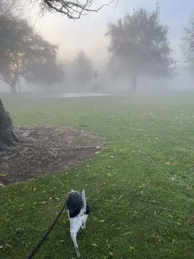 Hawthorne Park - Kennewick, WA
