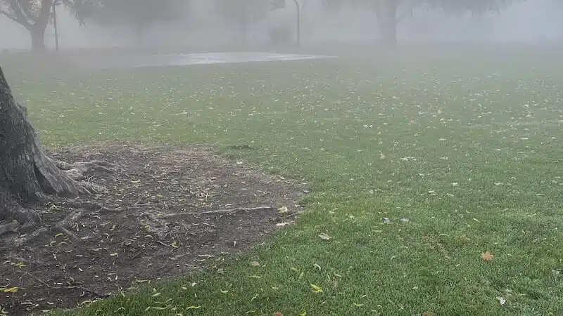 Hawthorne Park - Kennewick, WA