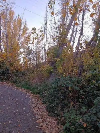 Zintel Canyon Playground - Kennewick, WA