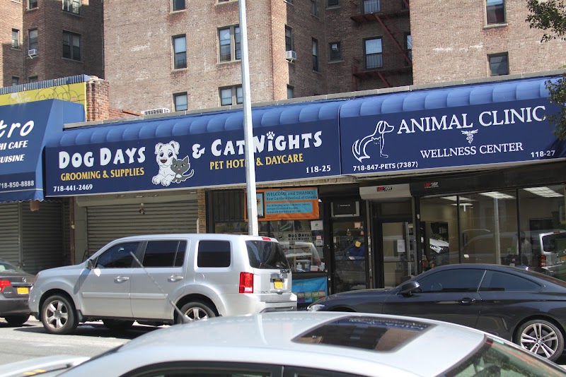 Dog Days and Cat Nights - Kew Gardens, NY