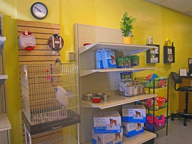 Dog Days and Cat Nights - Kew Gardens, NY