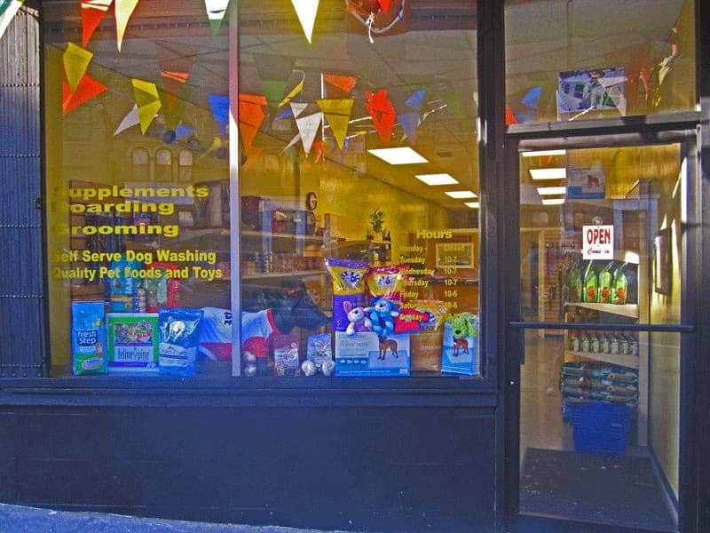 Dog Days and Cat Nights - Kew Gardens, NY