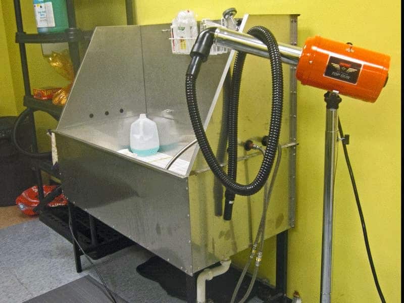 Dog Days and Cat Nights - Kew Gardens, NY