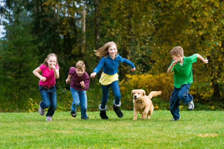 Kids at the dog park