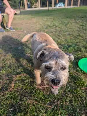 Mary's Paws Park - Kill Devil Hills, NC