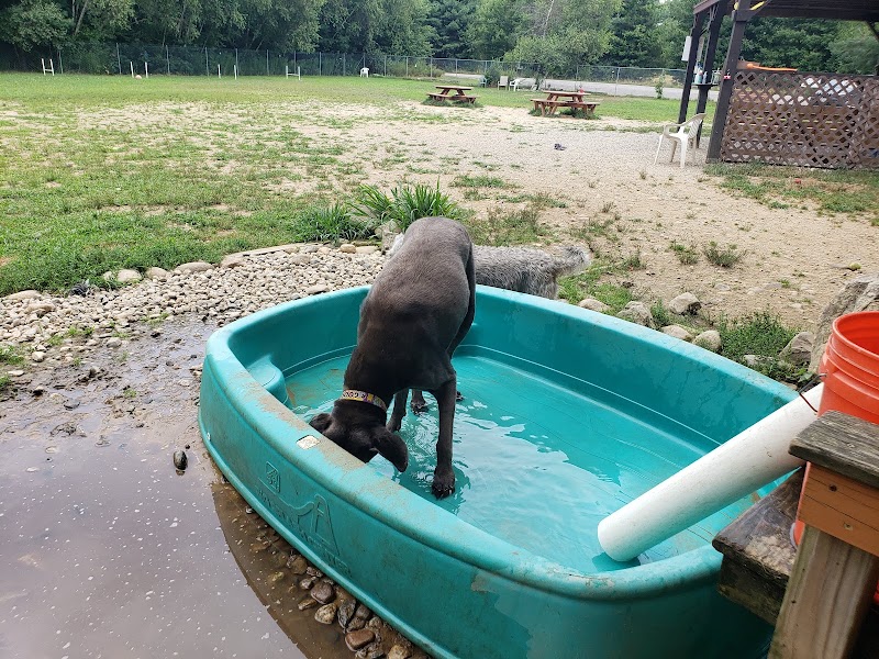 Live Free and Run Dog Park - Kingston, NH