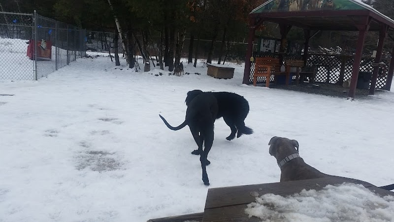 Live Free and Run Dog Park - Kingston, NH