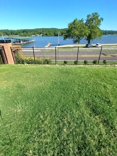 Fort Paws Dog Park