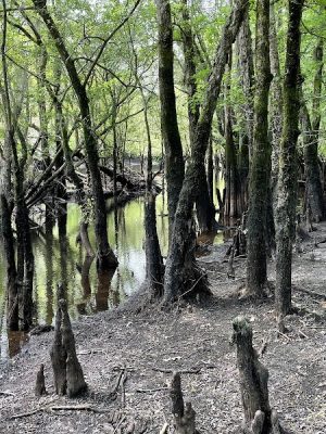 Gilland Memorial Park