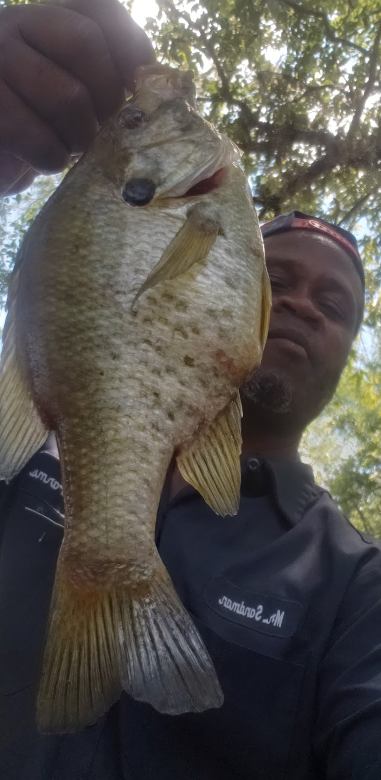 Gilland Memorial Park - Kingstree, SC