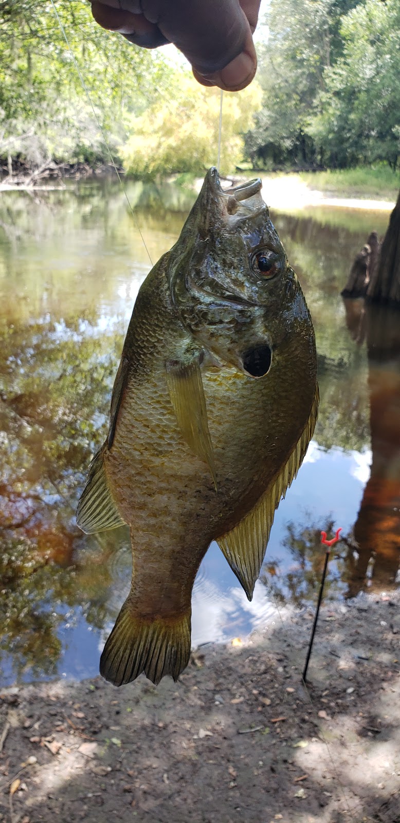Gilland Memorial Park - Kingstree, SC