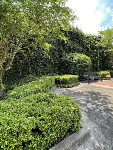 Welch Park