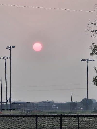 Vishal Raju Bhagat Memorial Dog Park - Kingsville, TX