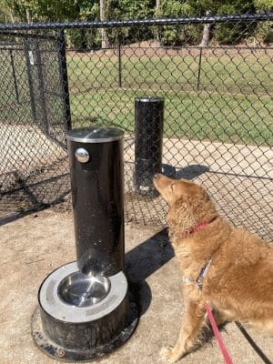 Holston-Chilhowee Dog Park
