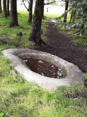 Kodiak Off Leash Dog Park