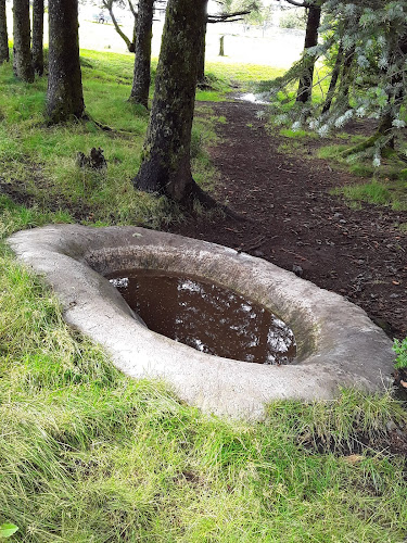 Kodiak Off Leash Dog Park