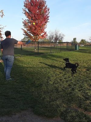 Kuna Dog Park
