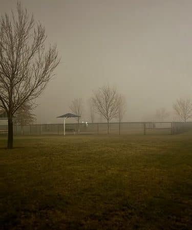 Kuna Dog Park