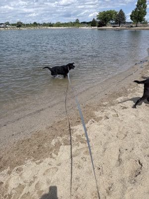 Kuna Dog Park