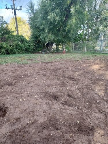 Myrick Park Dog Park