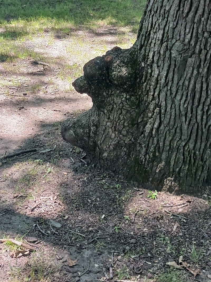 Charles W. Lindewald Park - La Porte, IN