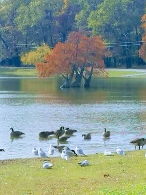 Fox Park, La Porte