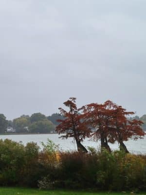 Fox Park, La Porte