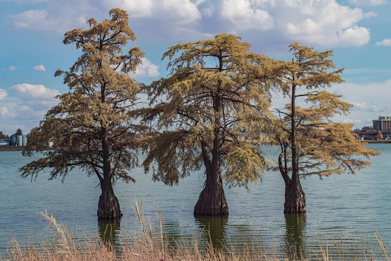 Fox Park, La Porte - La Porte, IN