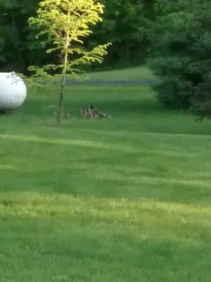 LaPorte County Park