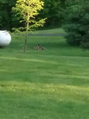 LaPorte County Park