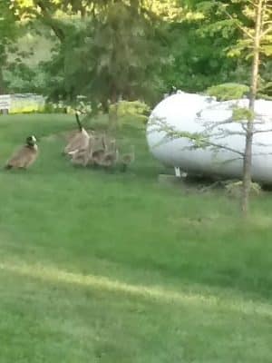 LaPorte County Park