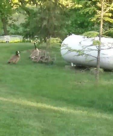 LaPorte County Park