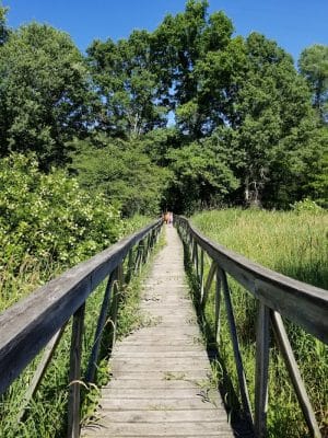 Luhr County Park