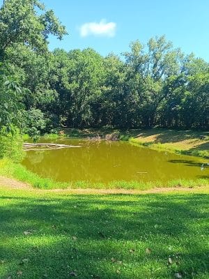 Luhr County Park
